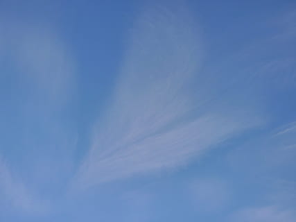 dangus, cirrus, debesis, debesis - dangus, mėlyna, fonas, žemas kampo vaizdas, grožis gamtoje, ramybė, nėra žmonių, pobūdį, visą kadrą, vaizdai - gamta, dieną, ramioje scenoje, lauke, balta spalva, idiliškas, aplinką, meteorologija, kopijavimo vietos, wispy, 4K, CC0, Viešasis domenas, nemokamai