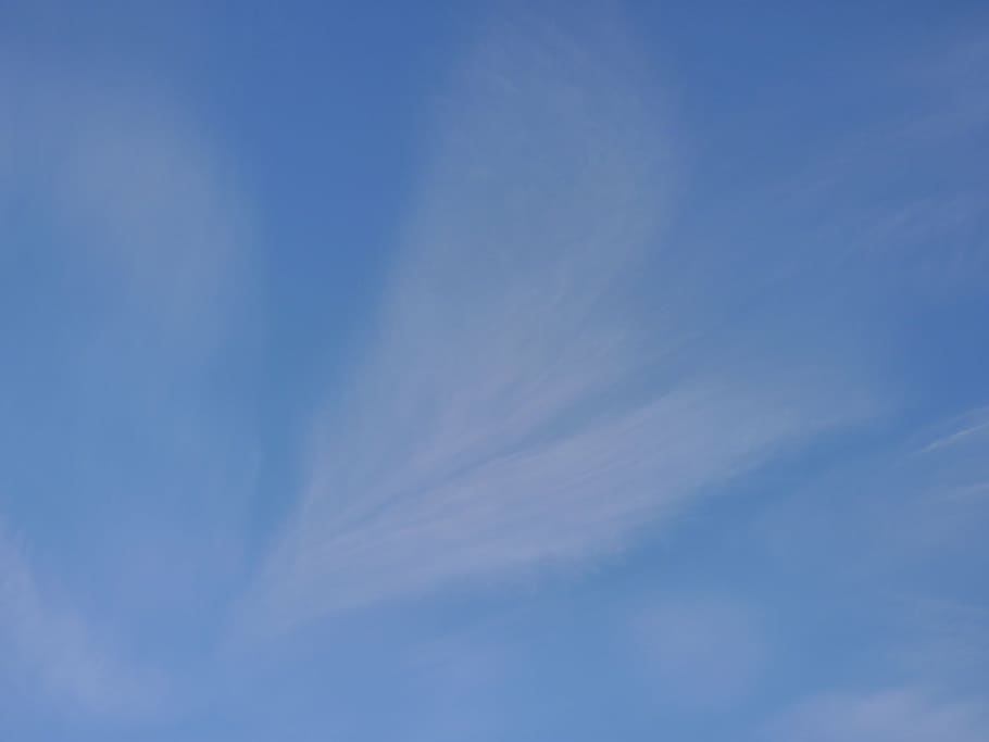 cel, cirrus, núvol, núvol - cel, blau, fons, vista d’angle baix, bellesa a la natura, tranquil·litat, cap gent, naturalesa, marc complet, escenics - natura, dia, escena tranquil·la, a l'aire lliure, Color blanc, idíl·lic, medi ambient, meteorologia, còpia espai, Wispy, 4K