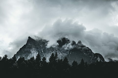 montagna, coperto, nuvoloso, giorno, fotografia in scala di grigi, montagne, nebbia, nube, albero, foresta, bosco, bianco e nero, avventura, voglia di girovagare, Esplorare, carpatico, Pino, buio, lunatico, Romania, nebbioso, Bucegi, legna, cielo, nuvola - cielo, bellezza nella natura, scenics - natura, pianta, scena tranquilla, natura, la tranquillità, scena non urbana, nessuno, terra, silhouette, catena montuosa, Inquadratura dal basso, roccia, picco di montagna, formazione, albero di conifere, 4K, CC0, dominio pubblico, privo di copyright