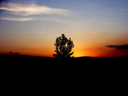 solnedgang, sol, træ, himmel, rød, orange, ild, silhuet, rolig scene, ro, skønhed i naturen, plante, scenics - natur, miljø, orange farve, sky - himmel, ikke-urbane scene, natur, ingen mennesker, landskab, vækst, idyllisk, Mark, jord, udendørs, nåletræ, 2K, CC0, offentligt domæne, royaltyfrie