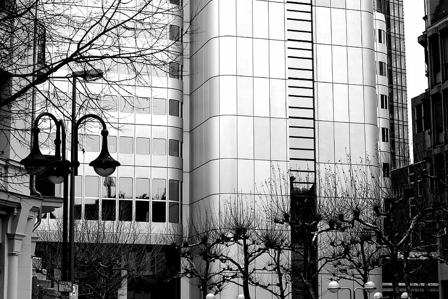 fotografie ve stupních šedi, opona skleněná budova, architektura, budova, infrastruktura, struktura, zřízení, Okna, kondominium, hotel, kancelář, práce, městský, město, stromy, Černý a bílý, černobílý, exteriér budovy, stavba, holý strom, okno, kancelářská budova exteriér, nikdo, venku, den, strom, nízký úhel pohledu, rostlina, větev, pouliční osvětlení, osvětlovací zařízení, Příroda, ulice, mrakodrap, 4K