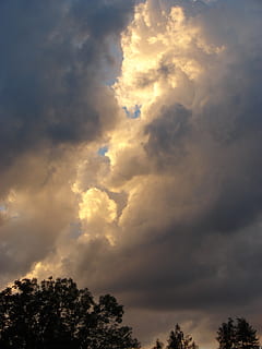 nori, nor fațetă, lumina din spate, dispozitie, siluetă, razele, dramatic cer, orizont, natură, cer, atmosfera, Abendstimmung, romantic, cerul de seară, nor - cer, copac, vedere unghiulară joasă, frumusețe în natură, plantă, nici o persoana, liniște, scenice - natura, o scenă liniștită, în aer liber, apus de soare, idilic, acoperit de nori, zi, creştere, atmosferă, 2K, CC0, domeniu public, fără drepturi de autor