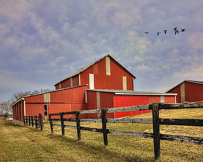 Scheune, rustikal, Scheunen, Ohio, digitale Kunst, ländlich, szenisch, Land, Landschaft, Schuppen, wirft, Bauernhof, Bauernhöfe, Landwirtschaft, landwirtschaftlich, Bauernhaus, champaign, Bezirk, Americana, Foto, fotografieren, Struktur, Strukturen, sturgell, William Sturgell, bill sturgell, historisch, Wohnkultur, corral, Gebäude, Silo, Wolken, Himmel, Baum, Bäume, wolkig, Unkraut, Champaign County, Urbana, wolke - himmel, gebaute Struktur, die Architektur, Natur, Tier, Gebäudehülle, Tierthemen, Wirbeltier, Vogel, fliegend, Tag, Tierwelt, keine Leute, Transport, Gruppe von Tieren, Feld, Tiere in freier Wildbahn, rot, 4K, CC0, gemeinfrei, lizenzfrei
