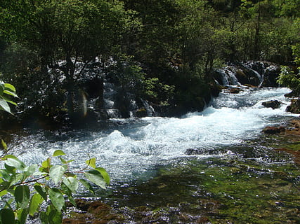 paisatge, riu, rierols, planta, aigua, bellesa a la natura, moviment, arbre, escenics - natura, creixement, bosc, naturalesa, aigua que flueix, terra, cap gent, cascada, color verd, dia, exposició llarga, rock, sòlid, tranquil·litat, a l'aire lliure, que flueix, poder a la natura, caient aigua, 1080P, CC0, domini públic, lliure de regalies