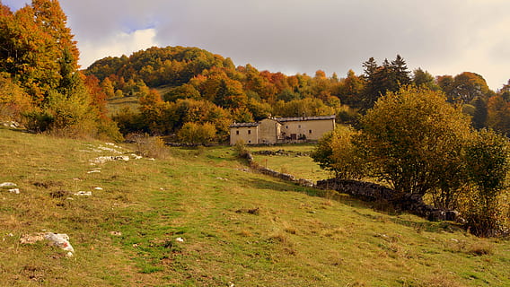 escursione, alberi, autunno, pista, montagna, il percorso europeo, e5, Lessinia, Italia, architettura, pianta, albero, natura, paesaggio, terra, ambiente, struttura costruita, storia, costruzione, nessuno, erba, la tranquillità, esterno dell'edificio, cielo, campo, scenics - natura, il passato, colore verde, all'aperto, modificare, 5K, CC0, dominio pubblico, privo di copyright