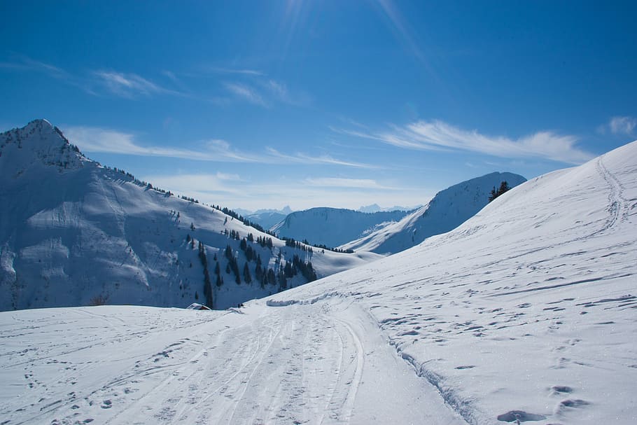 zasněžené, hora, stromy, během dne, sníh, zimní, Studený, panoráma, horský summit, panoramatický snímek, zasněžený, Příroda, vysokohorský, scénický, krajina, sport, sjezdovka, zimní sporty, lyžování, lyžařské oblasti, nebe, studená teplota, scenics - příroda, klidné scény, mrak - nebe, životní prostředí, klid, bílá barva, krása v přírodě, mimoměstské scény, pohoří, zasněžené hory, modrý, den, prašan, 5K
