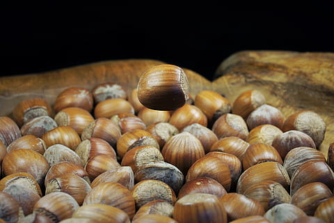 hazelnut, shell, brown, nuts, food, nut, tasty, eat, nutshells, autumn, nibble, breaking up, nutcracker, healthy, float, fall, food and drink, large group of objects, freshness, no people, close-up, selective focus, still life, wellbeing, indoors, black background, abundance, mollusk, invertebrate, healthy eating, animal shell, animal, animal wildlife, french food, tray, 5K, CC0, public domain, royalty free