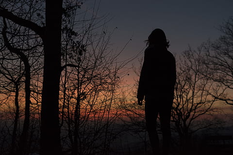 silhuett bilde, kvinne, silhouette, person, stående, naken, tre, natt, solnedgang, natur, bakgrunnsbelyst, utendørs, mennesker, mørk, ensomhet, svart farge, én person, landskap, bare tre, himmel, anlegg, ekte folk, ro, land, fritidsaktivitet, livsstil, naturskjønnhet - natur, gren, skjønnhet i naturen, tre kvart lengde, 5K