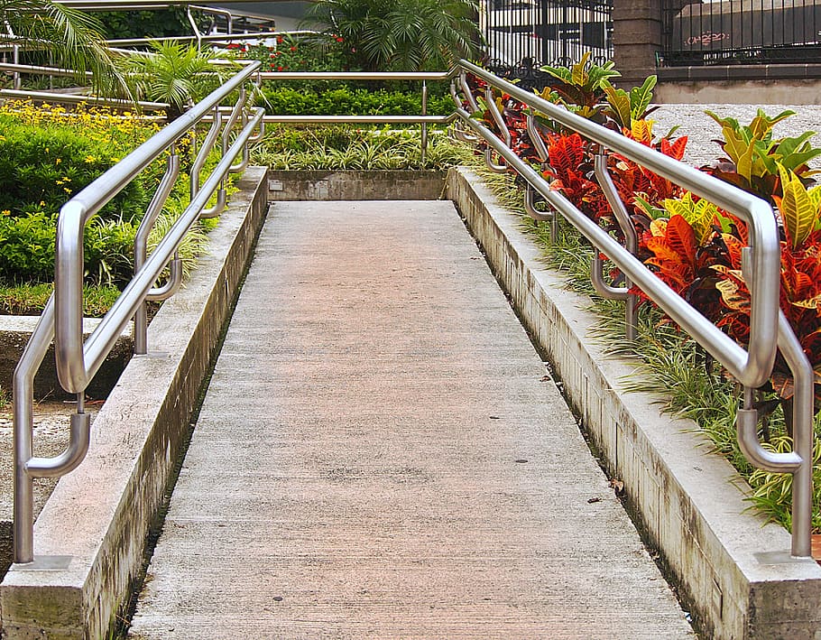 Camí, sala, ascens, baranes, flors, zona verda, pas, barana, arquitectura, escala, estructura construïda, el camí a seguir, naturalesa, passos i escales, planta, direcció, cap gent, dia, sendera, pont, arbre, connexió, passarel·la, a l'aire lliure, llum solar, material de fusta, buit, 4K