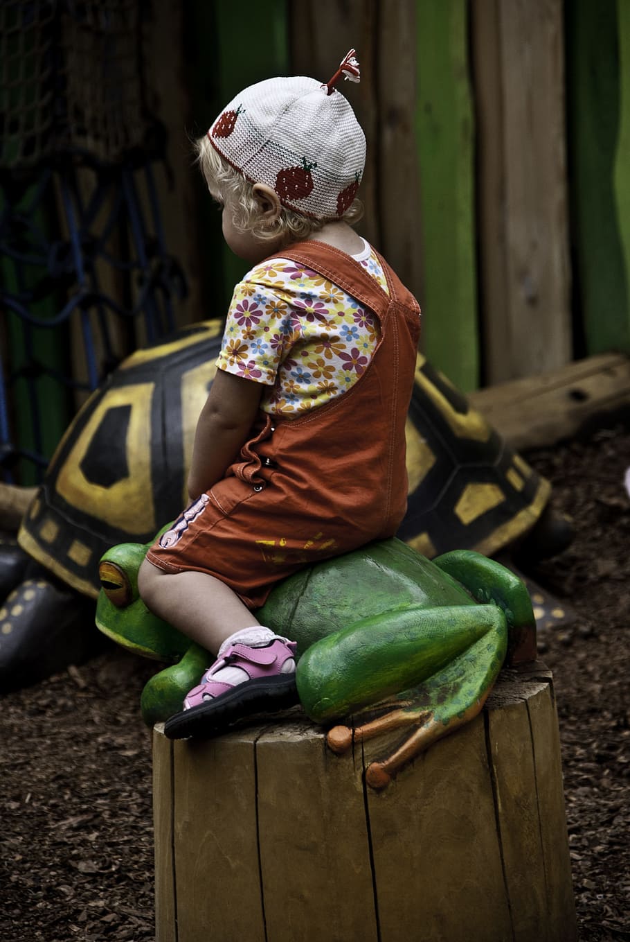 niño, patio de recreo, rana, Tortuga, infancia, jugar, parque, actividad, joven, niña, jugando, pequeño, juego, preescolar, vistoso, gente, culturas, una persona, cultura indígena, al aire libre, sentado, un solo hombre, adulto, Sólo para adultos, gente real, vista trasera, día, ropa tradicional, longitud total, ropa, ropa casual, centrarse en primer plano, vegetal, estilos de vida, naturaleza, hombres, que lleva, comida, 4K