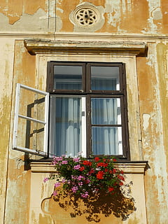 window, old, geranium, open, building exterior, built structure, flowering plant, flower, architecture, building, plant, low angle view, day, no people, glass - material, residential district, house, nature, closed, outdoors, growth, potted plant, glass, window box, window frame, flower pot, 2K, CC0, public domain, royalty free