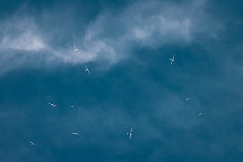 fugle, flyvende, rundt om, himmel, flyvningen, hvid, svævefly, blå, natur, sky - himmel, ingen mennesker, skønhed i naturen, dag, fly, luftfartøj, på farten, transportform, transportmidler, luft show, dampspor, Midt i luften, lav vinkel visning, bevægelse, kampfly, rejse, samarbejde, udendørs, kunstflyvning, 5K, CC0, offentligt domæne, royaltyfrie
