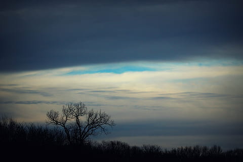 foresta, albero, inverno, cielo, buio, natura, paesaggio, stagione, legna, foglia, primavera, ramo, fogliame, naturale, luce, colore, ambiente, le foglie, tronco, alberi forestali, panoramico, parco, autunno, tramonto, nuvola - cielo, Paesaggi, la tranquillità, bellezza nella natura, scena tranquilla, albero nudo, scenics - natura, pianta, nessuno, silhouette, crepuscolo, soggezione, all'aperto, cielo drammatico, idilliaco, 5K, CC0, dominio pubblico, privo di copyright