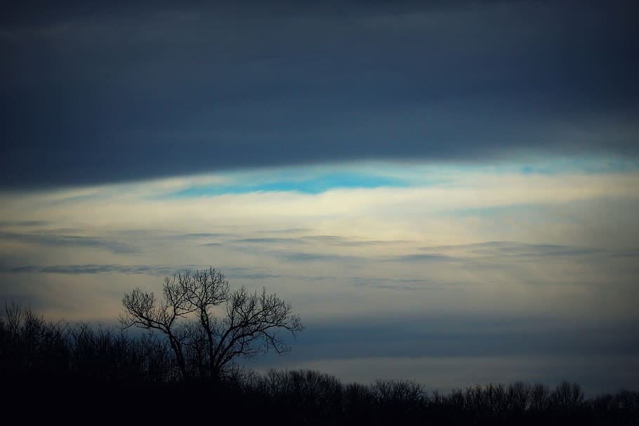 foresta, albero, inverno, cielo, buio, natura, paesaggio, stagione, legna, foglia, primavera, ramo, fogliame, naturale, luce, colore, ambiente, le foglie, tronco, alberi forestali, panoramico, parco, autunno, tramonto, nuvola - cielo, Paesaggi, la tranquillità, bellezza nella natura, scena tranquilla, albero nudo, scenics - natura, pianta, nessuno, silhouette, crepuscolo, soggezione, all'aperto, cielo drammatico, idilliaco, 5K