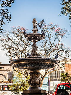 plaza, source, street, art and craft, sculpture, architecture, statue, sky, creativity, tree, plant, nature, representation, day, built structure, human representation, male likeness, low angle view, city, building exterior, no people, religion, craft, outdoors, 2K, CC0, public domain, royalty free