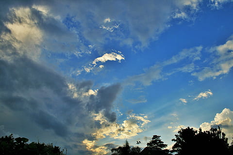 diffondendo nuvola, cielo, blu, nube, bianca, diffusione, luce, cime degli alberi, natura, estate, all'aperto, nuvola - cielo, albero, bellezza nella natura, la tranquillità, pianta, nessuno, Inquadratura dal basso, scenics - natura, Cloudscape, scena tranquilla, idilliaco, luce del sole, cielo drammatico, giorno, atmosfera, tramonto, cima dell'albero, meteorologia, 4K, CC0, dominio pubblico, privo di copyright