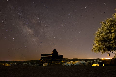 femme, séance, banc, le long de, ree, silhouette, la personne, en train de regarder, ciel de nuit, nuit, la nature, foncé, ciel, étoile - espace, paysage, arbre, structure construite, personne, en plein air, le coucher du soleil, espace, astronomie, paysages - nature, galaxie, étoile, beauté dans la nature, champ d'étoiles, plante, scène tranquille, tranquillité, terre, champ, architecture, voie Lactée, espace et astronomie, 4K, CC0, domaine public, libre de droits