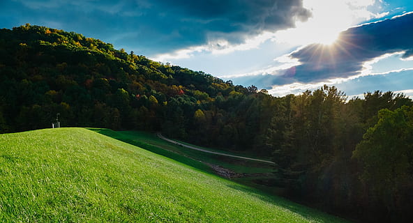 champ, vert, herbe, des arbres, champ d'herbe, jour, forêt, nuage, colline, Soleil, ensoleillé, terre, ciel bleu, été, printemps, verdure, paysage, octobre, plante, ciel, nuage - ciel, paysages - nature, environnement, la nature, arbre, beauté dans la nature, couleur verte, lumière du soleil, rayon de soleil, scène non urbaine, tranquillité, scène tranquille, personne, reflet, en plein air, green - parcours de golf, 2K, CC0, domaine public, libre de droits