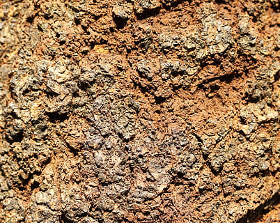 escorça, arbre, marró, la paret, teixits, fons, marc complet, textura, cap gent, primer pla, aspre, dia, patró, naturalesa, tronc de l'arbre, a l'aire lliure, escorça de la planta, brutícia, tronc, material de fusta, sòlid, resum, vista d’angle alt, 2K, CC0, domini públic, lliure de regalies