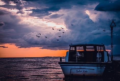 white, motorboat, body, water, cloudy, sky, black, fishing, vessel, sea, sunset, flocks, bird, boat, ocean, dusk, clouds, birds, dolce vida, dock, nautical vessel, cloud - sky, transportation, outdoors, nature, silhouette, no people, mode of transportation, vertebrate, beauty in nature, horizon, scenics - nature, horizon over water, animal, animal themes, orange color, sailboat, 4K