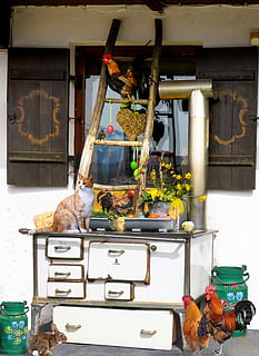 decoració, conill de Pasqua, Pasqua, decoració de pasqua, primavera, costums, niu, ou, niu de Pasqua, llebre, fenc, osterkorb, Feliç Pasqua, decoracions de pasqua, granja, cuina, estufa, vell, nostàlgia, cap, gallina de pollastre, gat, pollets, ocell, robin, Narcís, osterglocken, cub de llet, cub, cor, ploma, tema de pasqua, flors, menjar, un animal, mascotes, animal, gat domèstic, animals domèstics, temes d'animals, mamífer, cap gent, nacional, vertebrats, dia, a l'aire lliure, naturalesa, manera de transport, arquitectura, felí, contenidor, text, 5K, CC0, domini públic, lliure de regalies