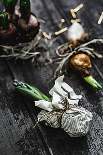making, little, ornamental, seedling, small, jar, Woman, plant, decoration, ornament, planting, crafting, adornment, food, wood - Material, close-up, rustic, nature, table, freshness, food and drink, studio shot, indoors, vegetable, no people, still life, high angle view, focus on foreground, tied up, container, basket, flower, selective focus, healthy eating, spice, leaves, 5K