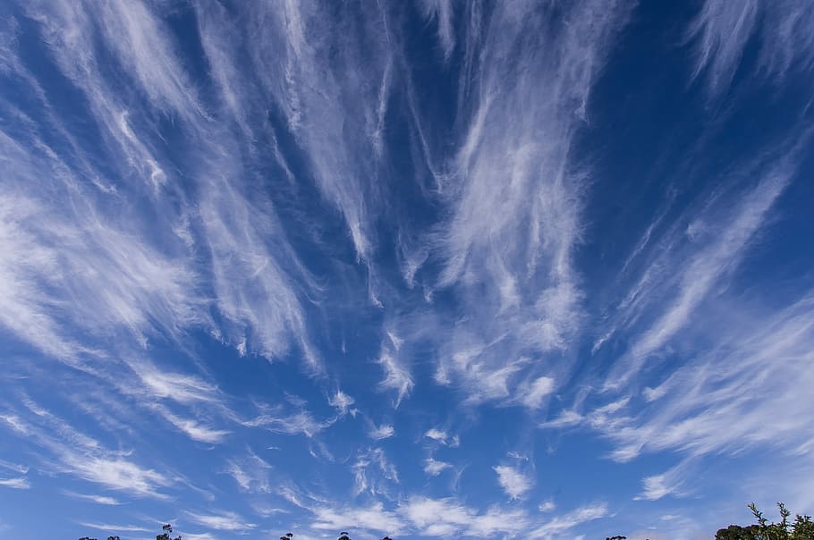 cielo, nuvole, luce del sole, azzurro, bianca, blu, modello, radiale, Australia, nuvola - cielo, Cloudscape, cielo drammatico, cirro, bellezza nella natura, natura, Inquadratura dal basso, nessuno, scenics - natura, sfondi, giorno, la tranquillità, all'aperto, cielo lunatico, scena tranquilla, ambiente, vento, wispy, meteorologia, 2K