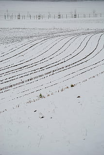 dyrkbar, snø, linjer, vinterlig, snowy, korn, sanke, land, natur, ingen folk, tekst, ro, dag, vinter, landskap, naturskjønnhet - natur, sand, rolig scene, kaldtemperatur, miljø, vestlig skript, skjønnhet i naturen, Strand, utendørs, vann, 4K, CC0, offentlig domene, opphavsrett gratis