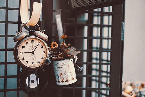 close-up of clock, alarm clock, antique, clock, flora, flowers, time, vintage, focus on foreground, hanging, no people, metal, indoors, close-up, number, window, day, animal representation, animal, pattern, animal themes, architecture, accuracy, art and craft, personal accessory, 5K, CC0, public domain, royalty free