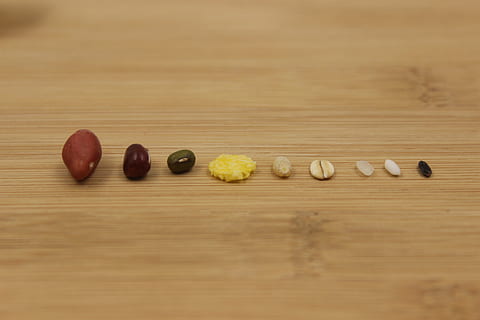 Korn, Reis, Bohnen, Holz - Material, Stillleben, Tabelle, drinnen, keine Leute, Nahansicht, braun, High Angle View, Lebensmittel, selektiver Fokus, Variation, Essen und Trinken, Wahl, mittlere Gruppe von Objekten, Gruppe von Objekten, Gelb, Wohlbefinden, rot, in einer Reihe, direkt darüber, 5K, CC0, gemeinfrei, lizenzfrei