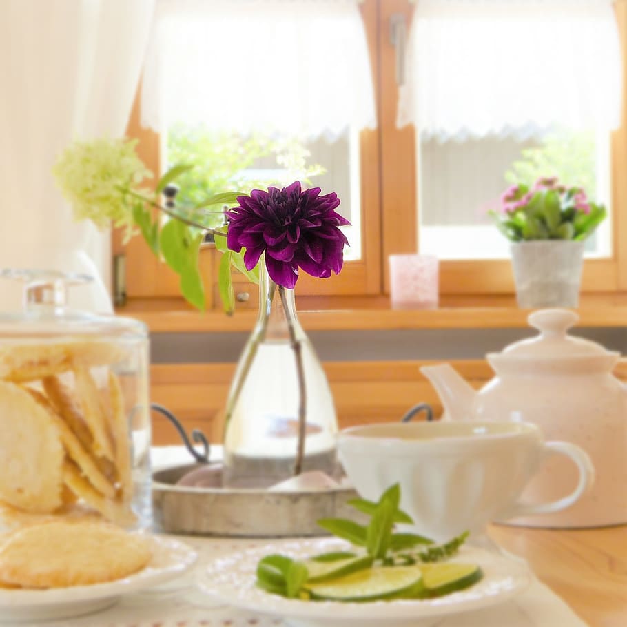 mor, dahlia çiçeği, açık, cam vazo, tablo, kapalı, çiçek, dalya, demlik, Fincan, Limonlar, kurabiye, atmosferik, cehennem, arkadaş canlısı, ortam, kahvaltı, Kahvaltı Büfesi, mola, kurtarmak, keyfini çıkarın, masa dekorasyonu, natürmort, Davet et, davetiye, tebrik kartı, kutlama, resmedilmeye değer, romantik, dekorasyon, sessiz, dinlenme, gevşeme, t şeklinde, çay molası, sağlıklı, seni korusun, yanmak, depresyon, geri kalanına gel, çiçekli bitki, içeriye, tazelik, vazo, bitki, yiyecek ve içecek, doğa, insansız, Gıda, kapatmak, Güvenlik açığı, doğada güzellik, kırılganlık, ön plana odaklanmak, çiçek kafa, ev içi, çanak çömlek, bardak, Çiçek aranjmanı, 2K