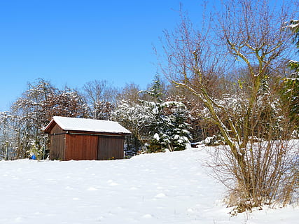 vinter, sne, vinterlige, kold, vinter træer, træer, natur, vinterforkølelse, snedækket, hytte, udendørs, lade, træ, landlige scene, blå, koldtemperatur, træ - materiale, sæson, kold temperatur, arkitektur, bygning udvendig, bygget struktur, plante, himmel, bygning, dag, Mark, jord, hus, skønhed i naturen, dækker, ingen mennesker, skyfri himmel, sommerhus, 4K, CC0, offentligt domæne, royaltyfrie