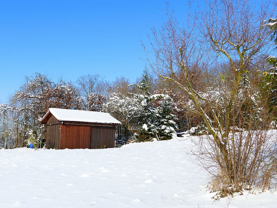 vinter, sne, vinterlige, kold, vinter træer, træer, natur, vinterforkølelse, snedækket, hytte, udendørs, lade, træ, landlige scene, blå, koldtemperatur, træ - materiale, sæson, kold temperatur, arkitektur, bygning udvendig, bygget struktur, plante, himmel, bygning, dag, Mark, jord, hus, skønhed i naturen, dækker, ingen mennesker, skyfri himmel, sommerhus, 4K