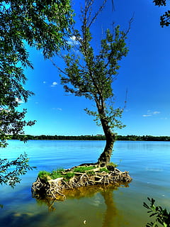 innsjø, trær, landskap, vann, Frankrike, sommer, refleksjoner, blader, løvverk, natur, dam, grønn, ro, planter, Angers, tre, himmel, anlegg, blå, skjønnhet i naturen, rolig scene, naturskjønnhet - natur, dag, ingen folk, ikke-urbane scene, sollys, refleksjon, vekst, utendørs, idylliske, turkisfarget, 4K, CC0, offentlig domene, opphavsrett gratis
