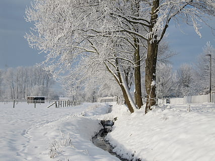 zimní, bach, sníh, Studený, zasněžený, tekoucí voda, studená teplota, strom, krytina, rostlina, bílá barva, Příroda, krása v přírodě, holý strom, zamrzlý, přistát, klid, scenics - příroda, krajina, životní prostředí, den, větev, klidné scény, nikdo, venku, sněží, extrémní počasí, zasněžené hory, 1080P, CC0, veřejná doména, bez autorských práv