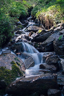 bjerg, alpine, bjerg stream, klippe, sten, lang eksponering, vand, Sydtyrol, tyrol, Skov, panorama, landskab, skønhed i naturen, scenics - natur, træ, bevægelse, flydende vand, plante, vandfald, solid, rock-objekt, natur, jord, sløret bevægelse, miljø, flyder, ingen mennesker, udendørs, strøm - rindende vand, magt i naturen, regnskov, faldende vand, 5K, CC0, offentligt domæne, royaltyfrie