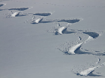 Skifahren, Abfahrt, wedeln, Spur, Kurven, Pulverschnee, winterlich, tiefer Schnee, Schnee, Winter, Landschaft, schneebedeckt, Licht, und, Schatten, Schneespur, kontraste, Skifahren im Hinterland, Natur, Weiß, draußen, Jahreszeit, kalte Temperatur, Blau, weiße Farbe, Abdeckung, Tag, keine Leute, Land, Schönheit in der Natur, High Angle View, gefroren, Szenen - Natur, Feld, Umgebung, Ruhe, Nicht-städtische Szene, Schispur, 2K, CC0, gemeinfrei, lizenzfrei