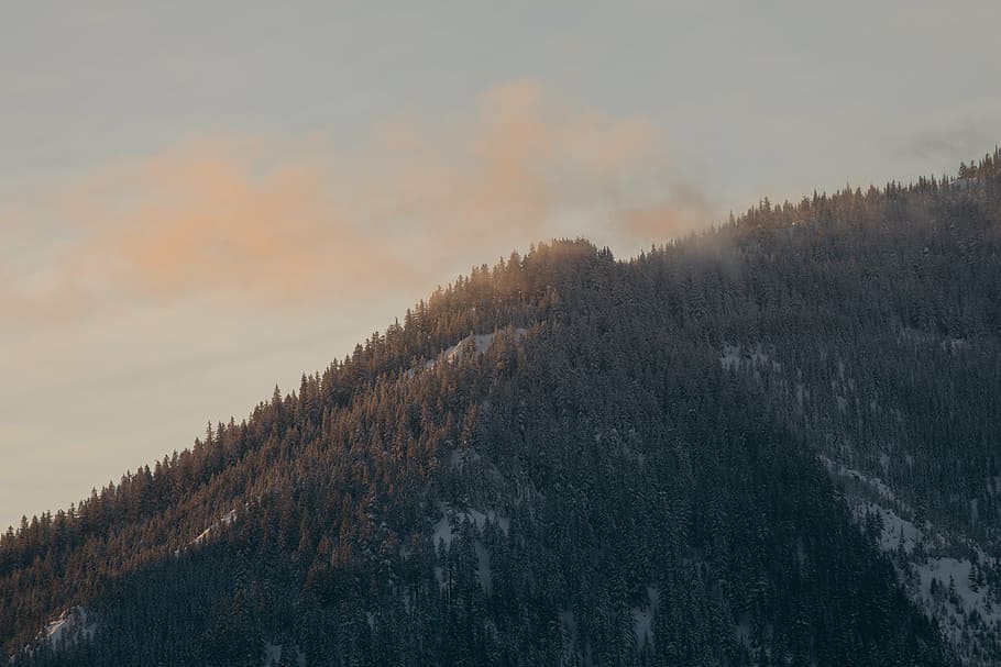 verd, arbres, blau, cel, durant el dia, naturalesa, paisatge, muntanya, núvols, viatjar, aventura, trek, boira, fum, posta de sol, cap gent, hivern, temperatura de fred, bellesa a la natura, a l'aire lliure, dia, escenics, arbre, planta, escenics - natura, escena tranquil·la, tranquil·litat, bosc, terra, escena no urbana, neu, medi ambient, pi, arbre de coníferes, bosc de pi, 5K