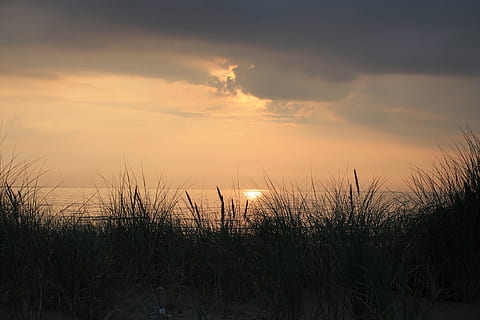 Sonnenuntergang, Strand, Sonne, Sommer-, abendstimmung, Dünen, Nordsee, Natur, Wachstum, Ruhe, Feld, ruhige Szene, Himmel, Schönheit in der Natur, Pflanze, Szenen - Natur, Wasser, wolke - himmel, Meer, keine Leute, Gras, Land, Marram Gras, idyllisch, Horizont über Wasser, draußen, Lieschgras, 4K, CC0, gemeinfrei, lizenzfrei