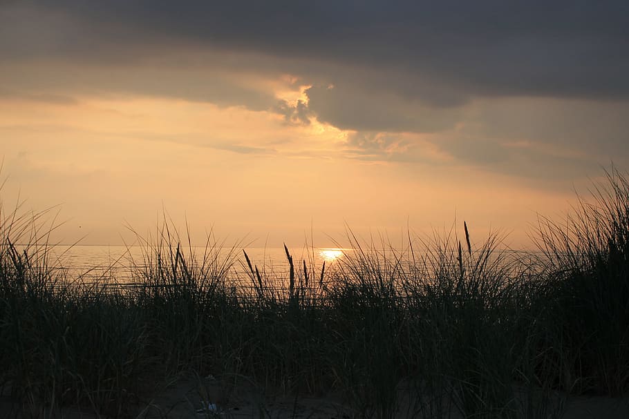 Sonnenuntergang, Strand, Sonne, Sommer-, abendstimmung, Dünen, Nordsee, Natur, Wachstum, Ruhe, Feld, ruhige Szene, Himmel, Schönheit in der Natur, Pflanze, Szenen - Natur, Wasser, wolke - himmel, Meer, keine Leute, Gras, Land, Marram Gras, idyllisch, Horizont über Wasser, draußen, Lieschgras, 4K