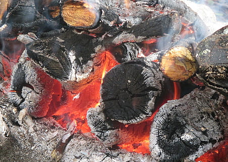 Koster, fuoco, fiamma, carboni, legna da ardere, ustioni, falò, bruciare, febbre, turismo, nessuno, natura, colore arancione, giorno, avvicinamento, calore - temperatura, fotogramma intero, ardente, all'aperto, fuoco - fenomeno naturale, ceppo, carbone, sfondi, legno - materiale, vista dall'alto, bruciato, legna, 2K, CC0, dominio pubblico, privo di copyright