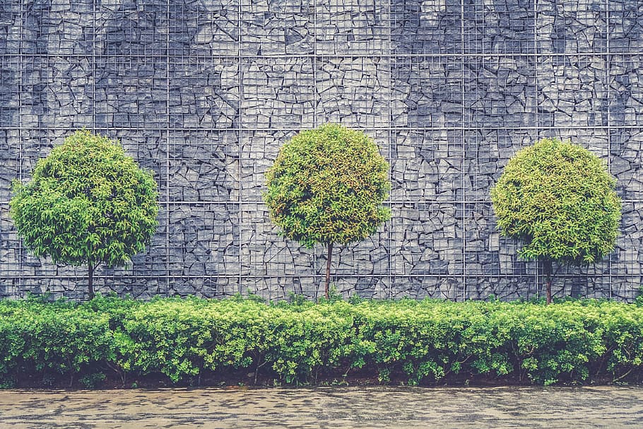 verde, leafed, copaci, plante, lângă, lanț de gard, față, gri, perete, arbuști, beton, copac, zid de sprijin, piatră, arbust, Culoarea verde, natură, plantă, iederă, frunze, fundaluri, montare pe perete, în aer liber, zi, zid de cărămidă, creştere, construită, arhitectură, nici o persoana, frumusețe în natură, apă, plantă de plantă, exteriorul clădirii, perete de piatra, 4K
