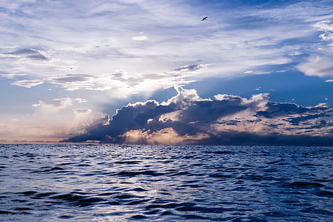 light, sea, nature, sky, backlit, beautiful, clouds, ocean, outdoors, scenic, seascape, water, cloud - sky, beauty in nature, scenics - nature, dramatic sky, horizon, horizon over water, blue, no people, tranquility, tranquil scene, sunset, cloudscape, rippled, 5K, CC0, public domain, royalty free