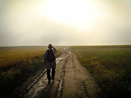 photo, man, walking, towards, destination, surrounded, rice fields, guy, backpack, knapsack, hat, dirt, road, rural, fields, sunset, sky, dusk, outdoors, nature, people, one Person, rural Scene, lifestyles, women, rear view, landscape, direction, plant, the way forward, full length, field, land, beauty in nature, environment, grass, real people, diminishing perspective, 1080P, CC0, public domain, royalty free