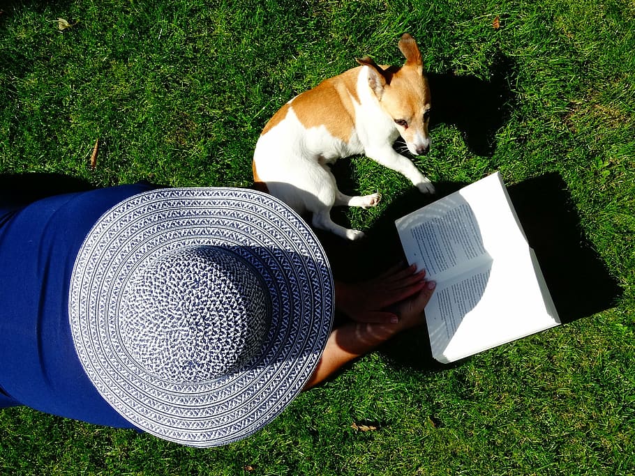 høj, synsvinkel, person læser bog, ved siden af, hund, grøn, græs, hat, Bestil, Læs, kæledyr, slap af, bøger, have, er, sommer, dyr, doggy, jack russell, pats, Dicky, hunde, husdyr, et dyr, indenlandske kat, ligger ned, pattedyr, dyre temaer, udendørs, dag, indenlandske, hvirveldyr, høj vinkel visning, kat, lempelse, en person, feline, plante, Mark, rigtige mennesker, kæledyr ejer, 2K