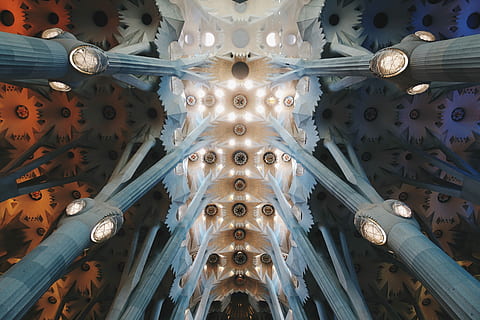 foto de bajo ángulo, gris, blanco, LED, columnas, arte del techo, columna, pilar, ligero, techo, formas, arquitectura, edificio, estructura, Iglesia, España, Barcelona, Dios, familia, sagrada, católico, vista de ángulo bajo, estructura construida, modelo, adentro, nadie, directamente debajo, fotograma completo, diseño, destinos de viaje, equipo de iluminación, religión, creatividad, día, Arte y artesanía, lugar de adoración, candelabro, florido, arquitectura y arte, columna arquitectonica, vaso, patrón floral, 5K, CC0, dominio público, libre de derechos