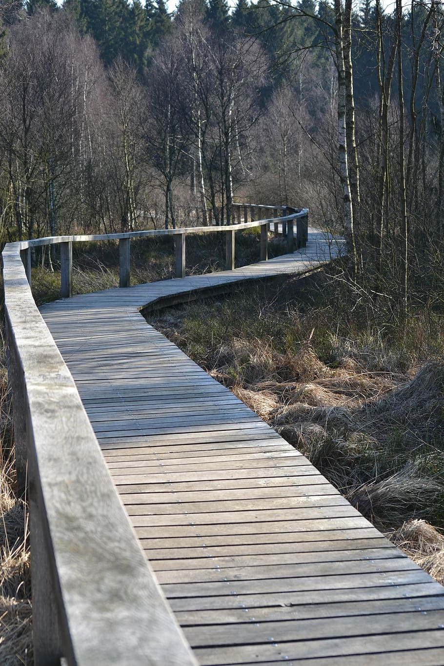 lluny, pont, interminable, barana, paisatge, arbre, planta, connexió, aigua, el camí a seguir, direcció, naturalesa, dia, cap gent, material de fusta, pont - estructura feta per l'home, estructura construïda, sendera, arquitectura, tranquil·litat, passeig marítim, passarel·la, a l'aire lliure, perspectiva decreixent, panells de fusta, 4K