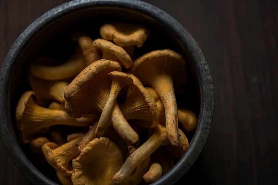 bolets marrons, marró, bolets, menjar, bol, material de fusta, cap gent, menjar i beguda, tir de l'estudi, primer pla, imatge en color, natura morta, fosc, ingredient, a l'interior, alimentació saludable, gran grup d'objectes, contenidor, benestar, frescor, bolets comestibles, vegetals, directament a sobre, abundància, aliments crus, fong, 5K
