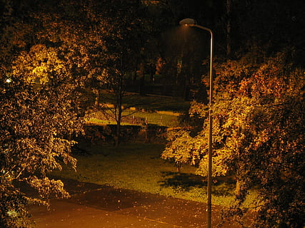 backyard, lantern, night, tree, plant, nature, autumn, change, growth, beauty in nature, land, tranquility, outdoors, orange color, forest, tranquil scene, real people, one person, footpath, autumn collection, fall, 2K, CC0, public domain, royalty free