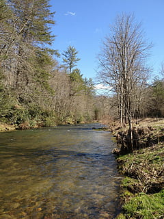 Strom, Fluss, Bäume, Natur, Wasser, Bank, Natürliches Wasser, Baum, Pflanze, Ruhe, kahler Baum, keine Leute, Himmel, ruhige Szene, Tag, Szenen - Natur, Land, Schönheit in der Natur, Wald, Umgebung, Nicht-städtische Szene, Ufergegend, draußen, fließendes Wasser, fließend, Sumpf, 2K, CC0, gemeinfrei, lizenzfrei